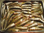 Ψάρια (γαύροι ή σαρδέλες) ριγανάτα